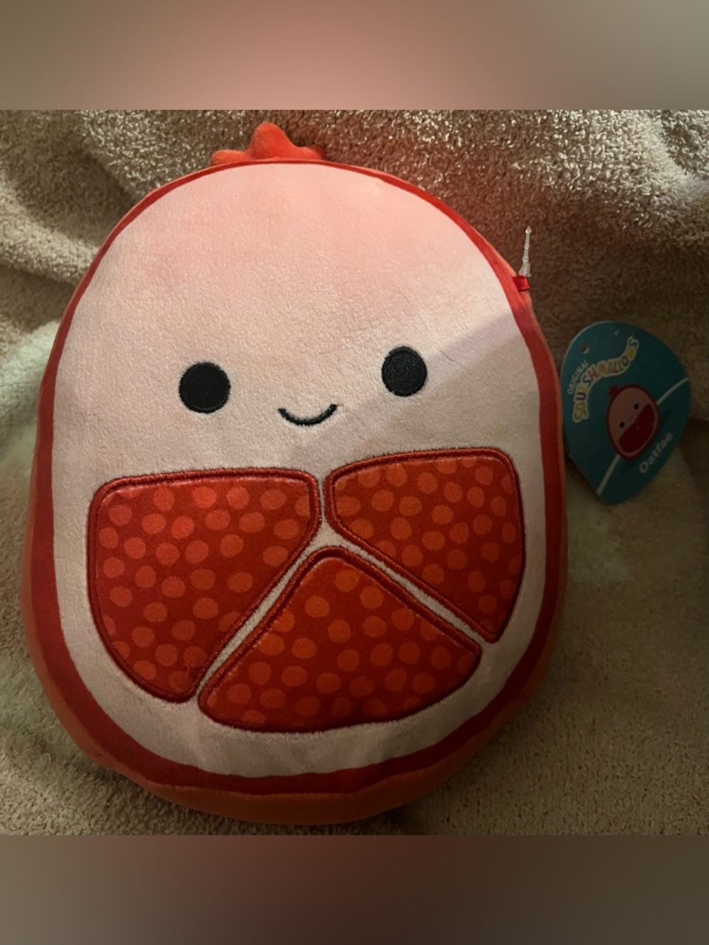 Squishmallow Oatfae❤️